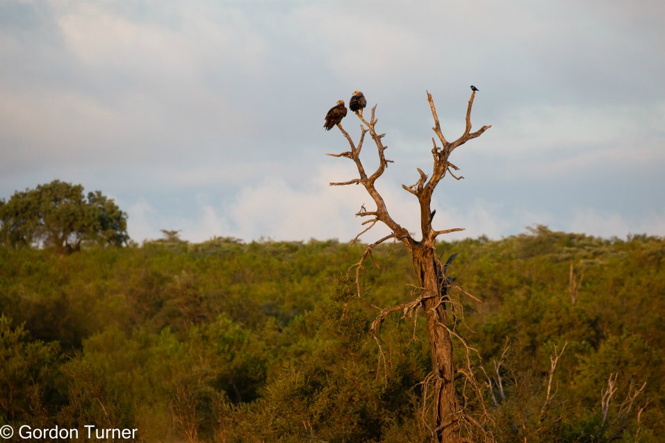 <h2>The Best of South Africa Escorted 2023</h2> 14 Nights | 6 Rounds | March 11 - 25